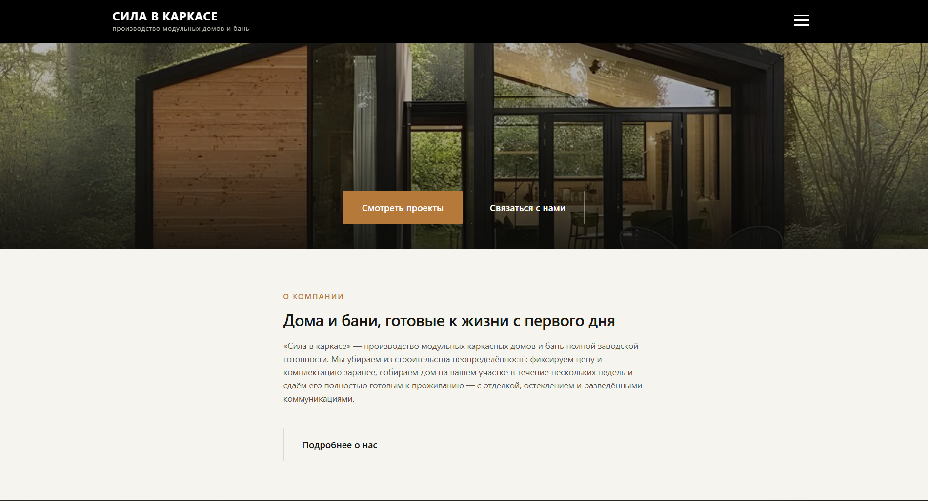 Сила в каркасе — превью сайта